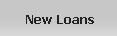 New Loans